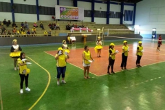 บรรยากาศการแข่งขันวอลเลย์บอล